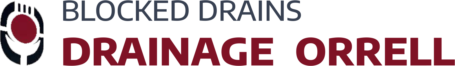 website logo
